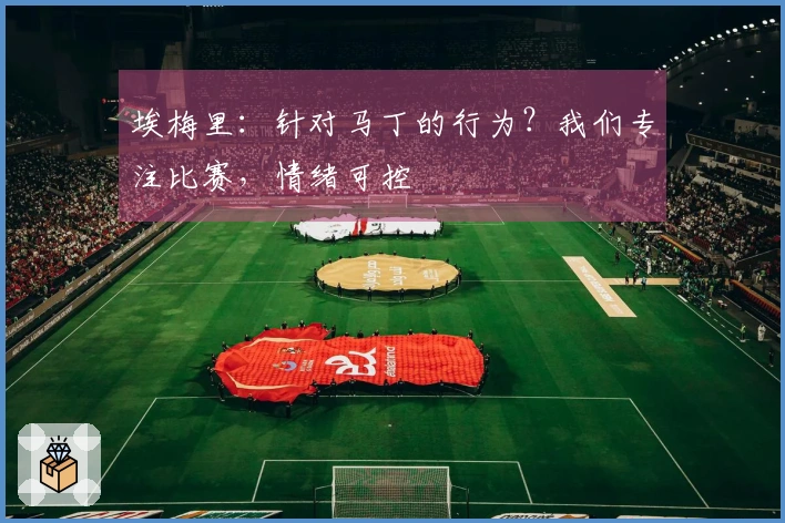 埃梅里：针对马丁的行为？我们专注比赛，情绪可控
