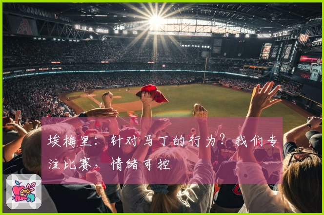 埃梅里：针对马丁的行为？我们专注比赛，情绪可控